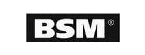 BSM.png